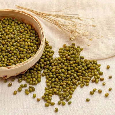 精选有机绿豆 五谷杂粮 绿豆汤 绿豆芽 清热解毒 降血脂作用