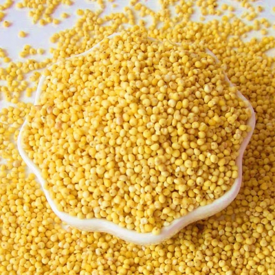有机小黄米 （小米粥 粗粮杂粮 大米伴侣）1kg 益肾补虚 安神的功效
